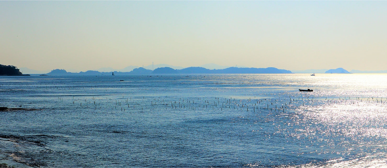 海景色