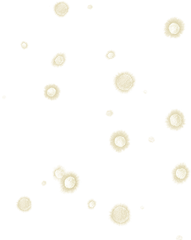 とらふぐ祭り（特上）